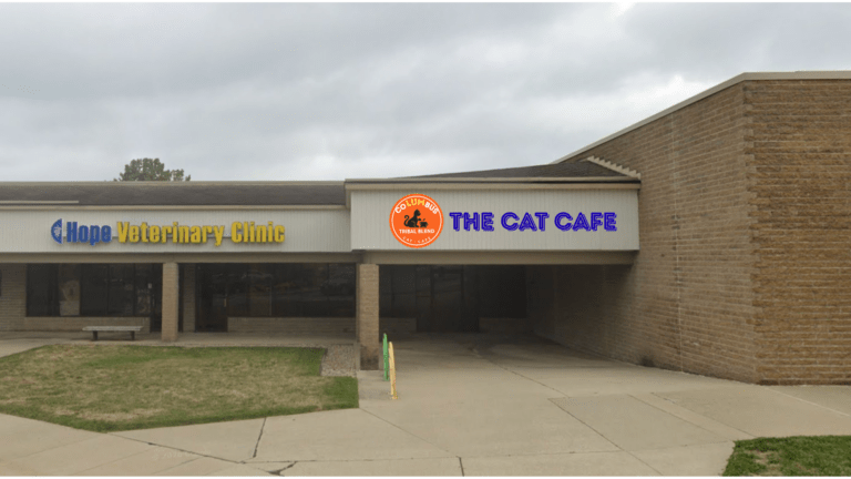 cat cafe signage mockup v2